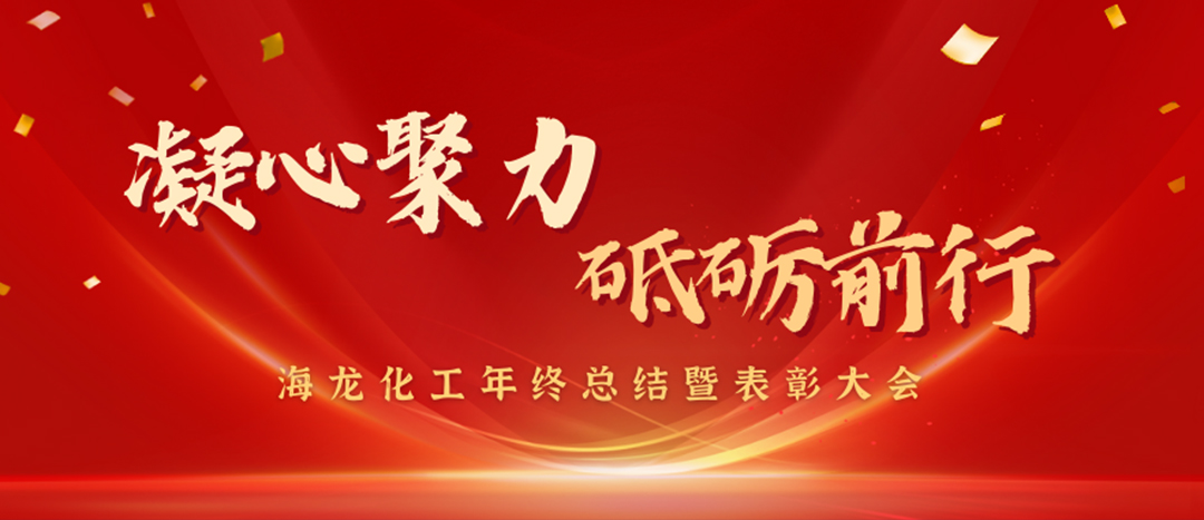 表彰 | 凝心聚力，砥礪前行，海龍化工年終總結(jié)暨表彰大會(huì)圓滿舉行